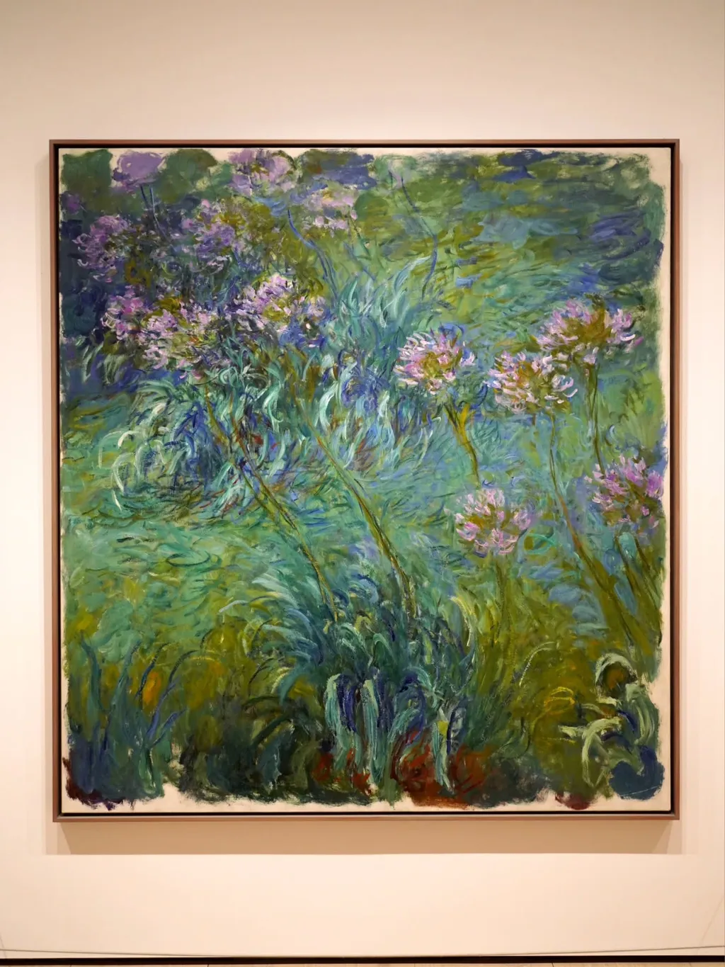 Agapanthus, Claude Monet, 1914