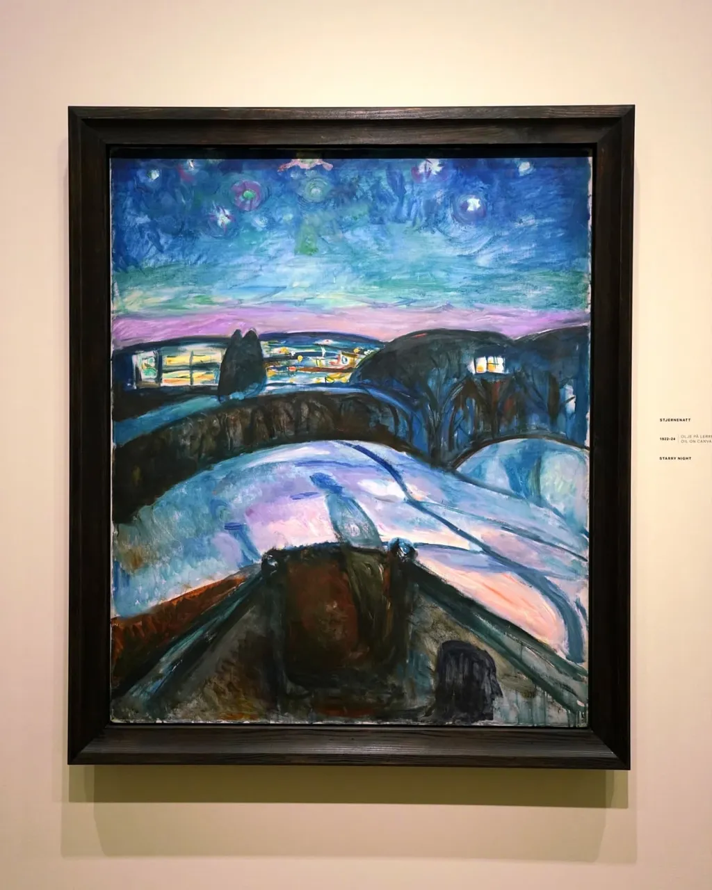 Starry Night, Edvard Munch, 1893