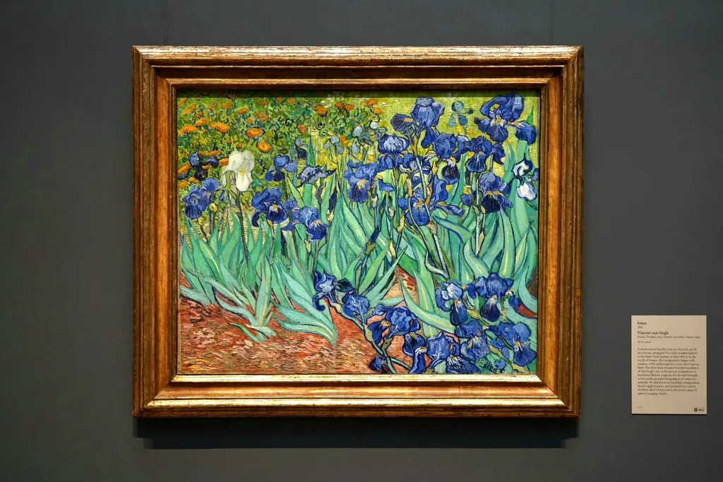 Irises, Vincent van Gogh, 1889